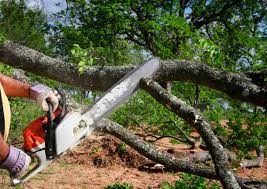 Best Seasonal Cleanup (Spring/Fall)  in Hawley, PA