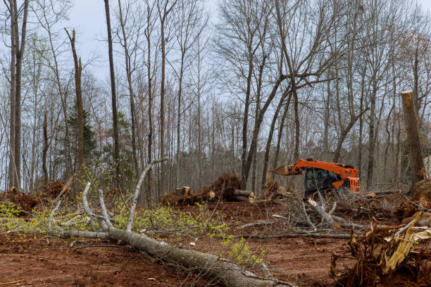 Best Soil Testing and Treatment  in Hawley, PA